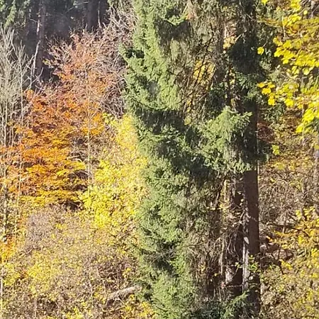 Szczypta Relaksu W Mariental *