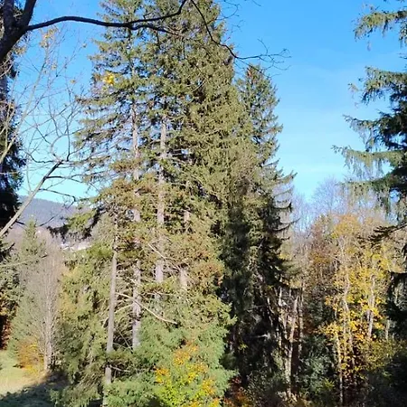 Szczypta Relaksu *