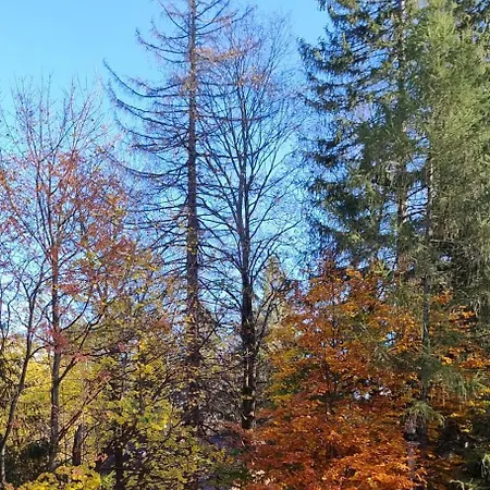 Appartement Szczypta Relaksu W Mariental *