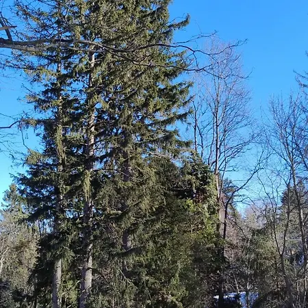 Szczypta Relaksu W Mariental * Szklarska Poręba