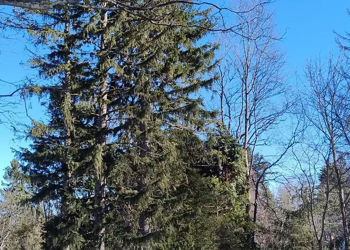 Szczypta Relaksu W Mariental * Szklarska Poręba